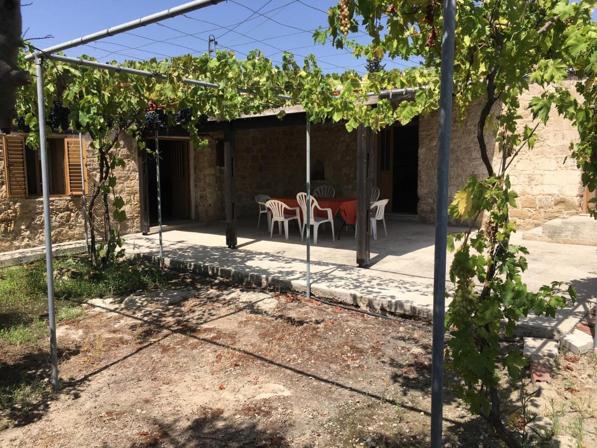 Friendly Villagehouse Paphos Exterior foto
